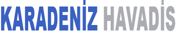 Application Name Logo