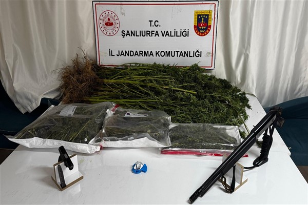 Siverek’te yapılan operasyonda çok sayıda uyuşturucu ve silah ele geçirildi