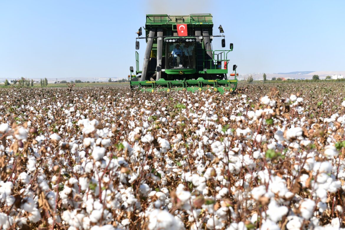 Şanlıurfa’da pamuk verimliliğinin artması için Genel Emir yayınlandı