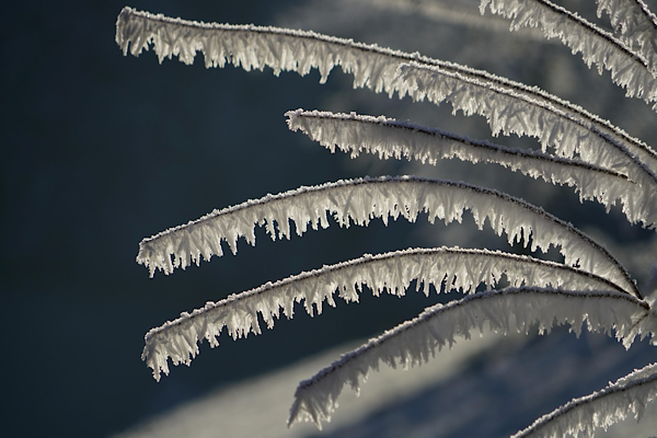 Van’da buzlanma, don ve kuvvetli rüzgar uyarısı