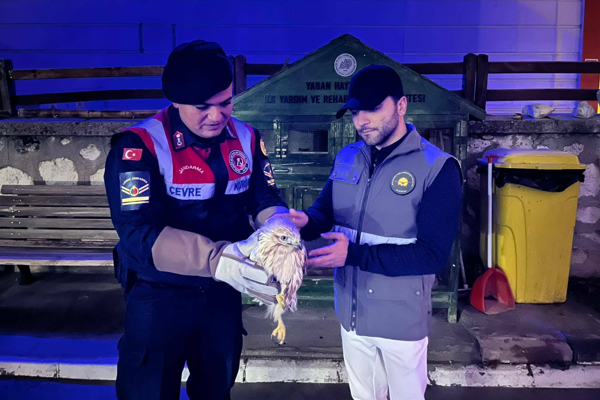 Karaman’da “Paçalı Şahin” koruma altına alındı Karaman’da “Paçalı Şahin” koruma altına alındı