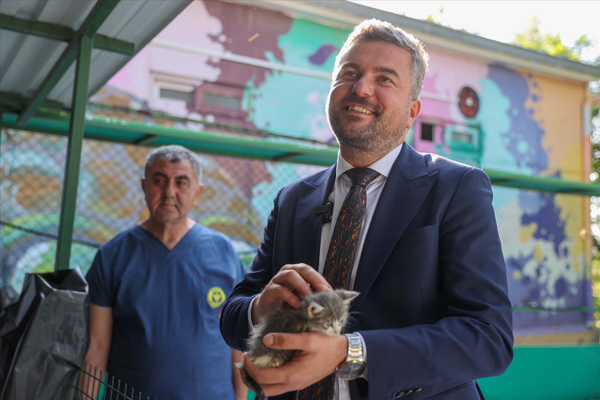 2025’te Buca’da 300 sokak hayvanı sahiplendirildi 2025’te Buca’da 300 sokak hayvanı sahiplendirildi