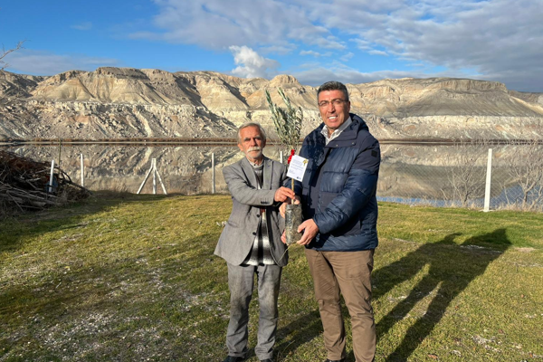 Eskişehir’de üreticilere mavi sertifikalı zeytin fidanı dağıtıldı Eskişehir’de üreticilere mavi sertifikalı zeytin fidanı dağıtıldı