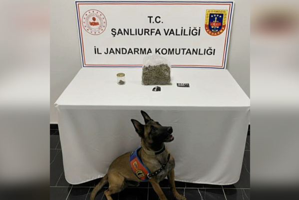 Şanlıurfa’da uyuşturucu operasyonu