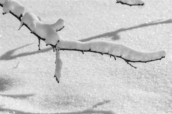 Meteoroloji’den kuvvetli yağış, kar ve buzlanma uyarısı
