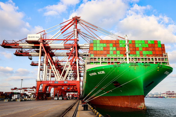 Xi’nin ekonomi düşüncesi konusundaki TV programı kitaplaştırıldı