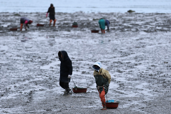 UNRWA: Gazze’deki sel sonrası yerinden edilen ailelere destek sürdürülüyor