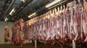 Pınar Et’in kesimhanesinin kapatıldığı iddiası