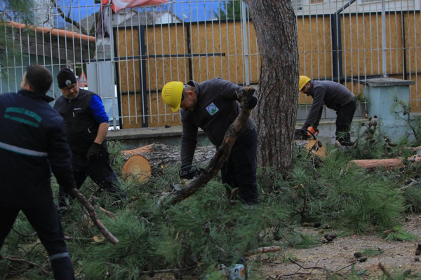 Osmangazi Belediyesi’nden lodosa karşı müdahale Osmangazi Belediyesi’nden lodosa karşı müdahale