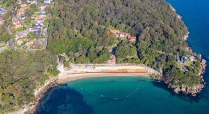 Sydney’de meydana gelen köpekbalığı saldırısında bir çocuk hayati tehlike altında