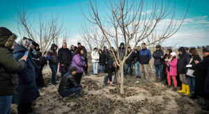 ATA Çiftliği’nde meyve ağaçlarında budama ve terbiye kursu düzenlendi ATA Çiftliği’nde meyve ağaçlarında budama ve terbiye kursu düzenlendi