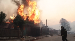 Şili, 20 kişinin ölümüne neden olan orman yangınları nedeniyle ”afet durumu” ilan etti