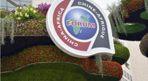 Afrika medyası: Çin, bağımsız ve sürdürülebilir kalkınma yolunumuzda kararlı bir ortak