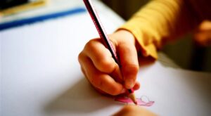 MEB’den ‘eğitimde bu hafta’ paylaşımı