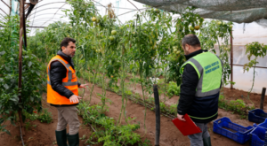 Antalya’da hasar tespit çalışmalarına başlandı