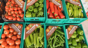 ŞOK Marketler’de pestisit analiz kapsamı genişliyor