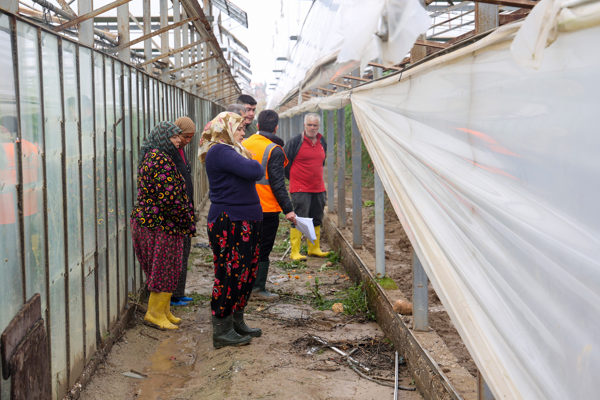 Antalya’da afetten zarar gören seralarda hasar tespiti yapılıyor Antalya’da afetten zarar gören seralarda hasar tespiti yapılıyor