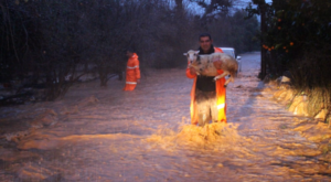 Antalya’da yağmur ve fırtınaya karşı çalışmalar sürdürülüyor