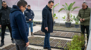 Bornova Belediyesi, fidanlığında bitki üretimini sürdürüyor