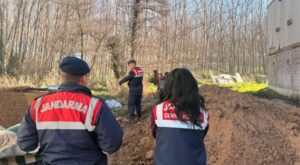 Sakarya’da mevzuata aykırı faaliyet gösteren tavuk çiftliğine ceza ve kısıtlama