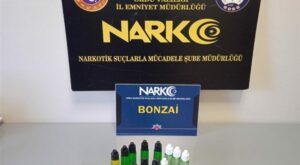 Ordu’da kaçak ürünlere yönelik operasyon