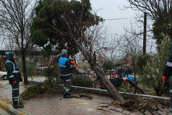 Pamukkale’de fırtına ve sağanak yağışa anında müdahale