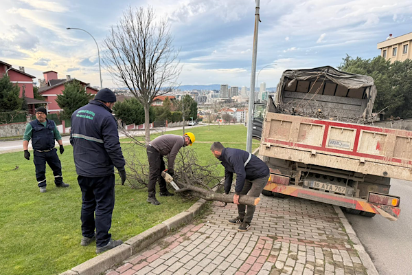 Osmangazi’de devrilen ağaçlara müdahale edildi Osmangazi’de devrilen ağaçlara müdahale edildi