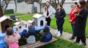 Yalova’da geri dönüşebilir atıklar, hayvanlara yuva oluyor Yalova’da geri dönüşebilir atıklar, hayvanlara yuva oluyor