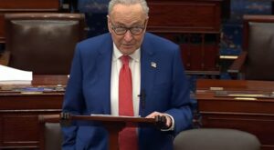 ABD’li Demokratlar Trump’ın gümrük vergilerin, durdurmaya çalışacak