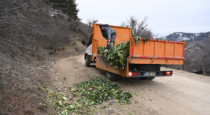 Isparta’da yaban hayvanları için atık yiyecekler ayrıştırılıyor