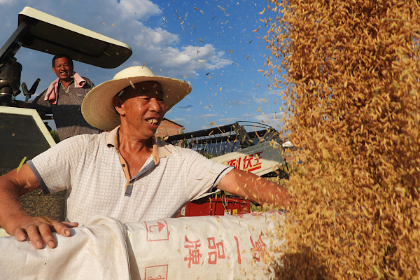 Çin’in tahıl üretimi iki yıldır 700 milyon tonun üzerinde seyrediyor Çin’in tahıl üretimi iki yıldır 700 milyon tonun üzerinde seyrediyor