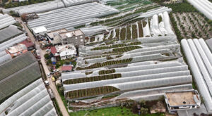 Finike’de hortumdan zarar gören seralarda hasar tespiti yapıldı Finike’de hortumdan zarar gören seralarda hasar tespiti yapıldı