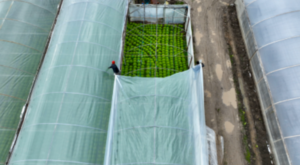 Büyükşehir’den çiftçilere yönelik destek