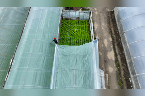 Büyükşehir’den çiftçilere yönelik destek