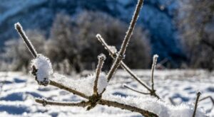 Malkara’da taşımalı eğitime 1 gün ara verildi