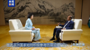 Afrika Birliği Komisyonu Başkanı: Çin, Afrika ülkelerinin gerçek dostu