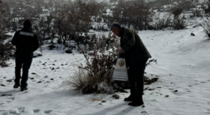 Batman’da yaban hayvanları için doğaya yem bırakıldı