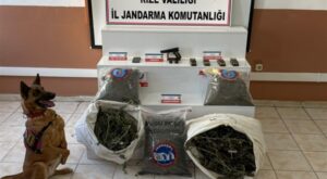 Rize’de uyuşturucu ve silah operasyonu
