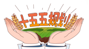 Xi Jinping’den 15. Beş Yıllık Plan için “iyi başlangıç” vurgusu