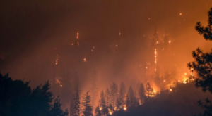 ABD’de bazı eyaletler, iklim felaketlerinin faturasını kirleticilerin ödemesini istiyor