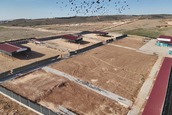 Şanlıurfa’da sahipsiz hayvanların toplanmasında hedefe ulaşıldı Şanlıurfa’da sahipsiz hayvanların toplanmasında hedefe ulaşıldı