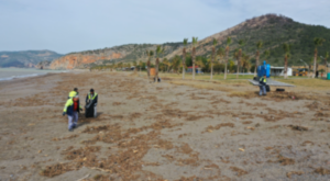 Gazipaşa’da yağışların ardından sahillerde temizlik çalışması başlatıldı