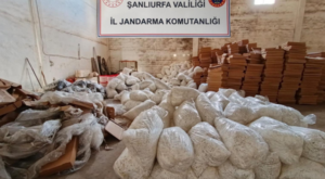Şanlıurfa’da 40 milyon bandrolsüz makaron ele geçirildi Şanlıurfa’da 40 milyon bandrolsüz makaron ele geçirildi