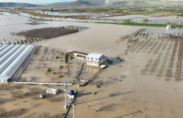 İzmir İtfaiyesi, taşkınlarda mahsur kalan hayvanlar için çalışma başlattı İzmir İtfaiyesi, taşkınlarda mahsur kalan hayvanlar için çalışma başlattı