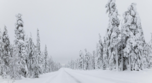 Doğu Karadeniz ve Doğu Anadolu için çığ uyarısı Doğu Karadeniz ve Doğu Anadolu için çığ uyarısı