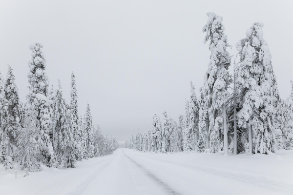 Doğu Karadeniz ve Doğu Anadolu için çığ uyarısı Doğu Karadeniz ve Doğu Anadolu için çığ uyarısı