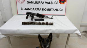 Şanlıurfa’da silah operasyonu Şanlıurfa’da silah operasyonu