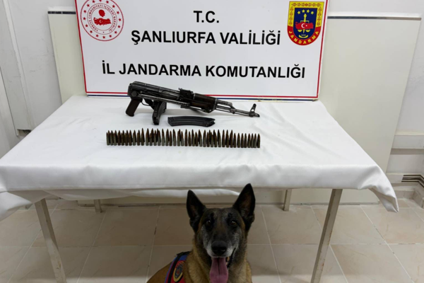 Şanlıurfa’da silah operasyonu Şanlıurfa’da silah operasyonu