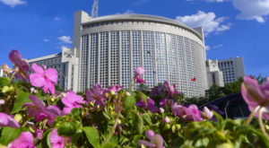 Çin: Almanya ile karşılıklı güveni ve somut işbirliğini pekiştirmeye hazırız