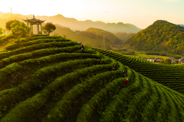 CGTN anketinden tarihi sonuç: Küresel yoksullukla mücadelede Çin’in kilit rolü CGTN anketinden tarihi sonuç: Küresel yoksullukla mücadelede Çin’in kilit rolü